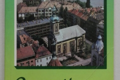 Csongrád County and Szeged (1993)