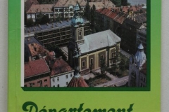 Département de Csongrád et Szeged (1993)